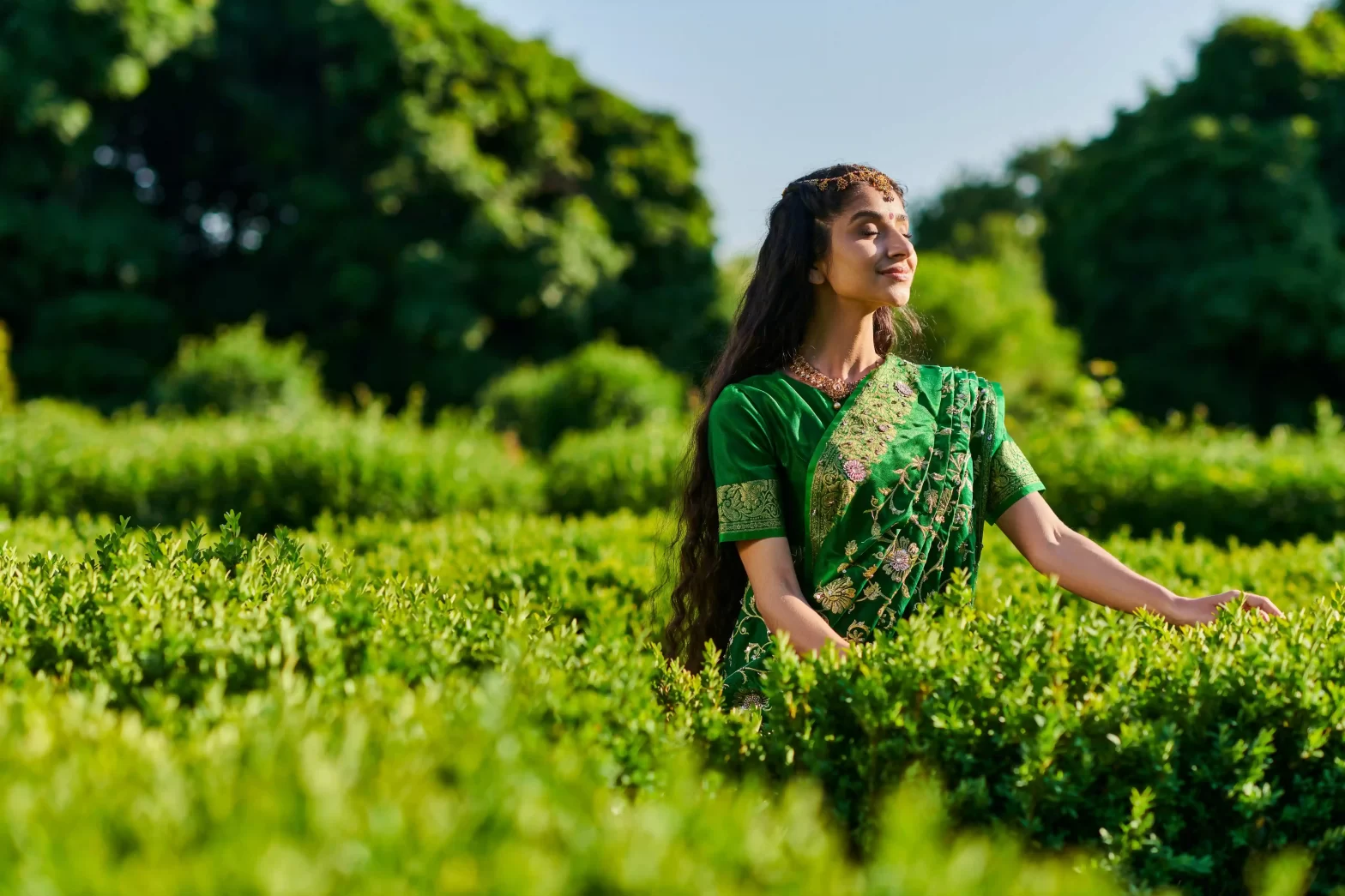 Authentic Wellness Retreats in India