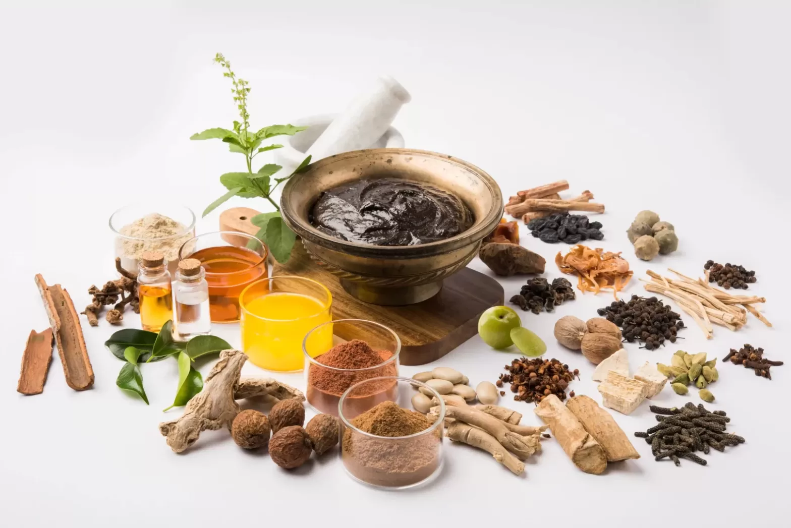 herbal ingredients used in traditional naturopathy in India