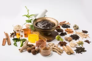 Preventative Wellness Through Naturopathy: How Indian Centres Help You Avoid Chronic Conditions